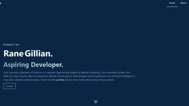 First portfolio website